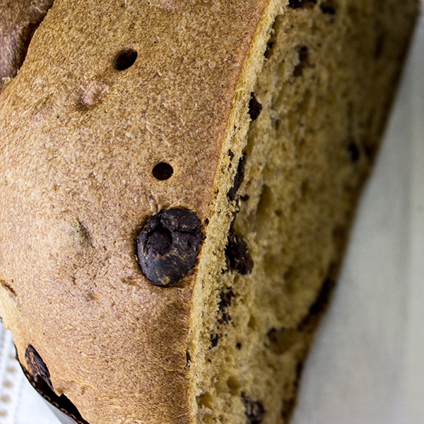 colomba-al-cioccolato-particolare-di-tullio